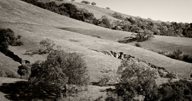 Pastures of Heaven Pastures of Heaven