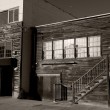 Ricketts’ Lab Ricketts Lab