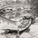River Boats