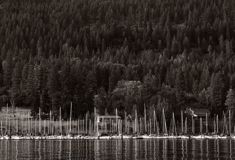 Reflected Masts