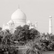 Taj Behind the Trees Taj Behind the Trees