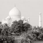 Taj Behind the Trees Taj Behind the Trees