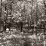 Grave Markers Grave Markers
