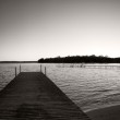 Hemingway’s Dock Hemingway's Dock