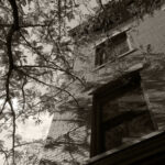 Driggs Avenue