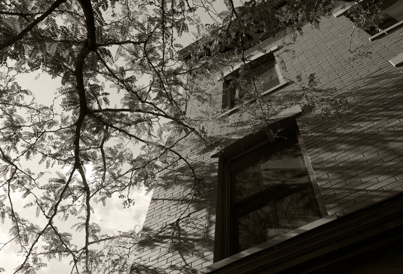 Driggs Avenue