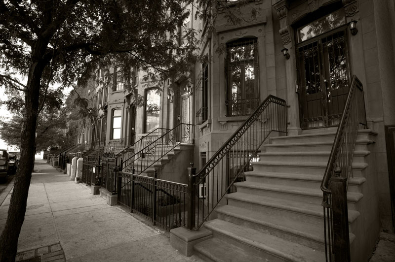 Langston Hughes Avenue