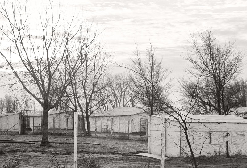Toughing it Outbuildings