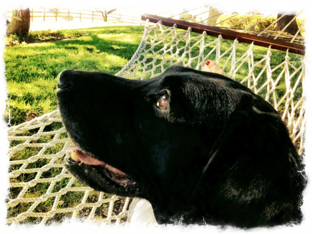 Hammock time