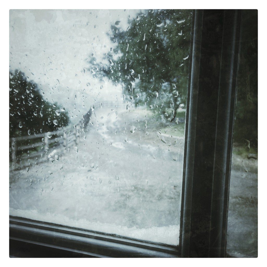 winter window view