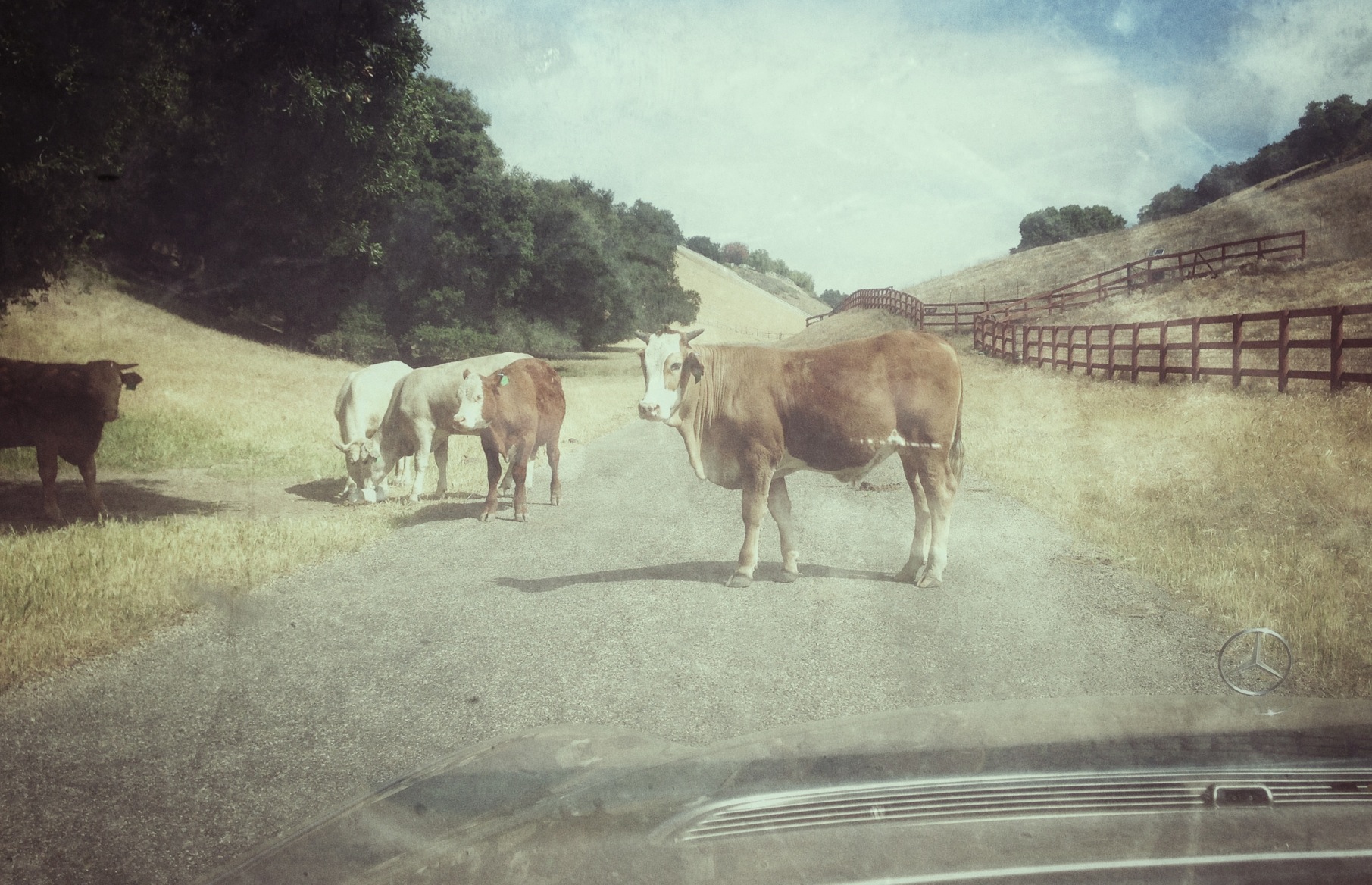 Traffic Jam