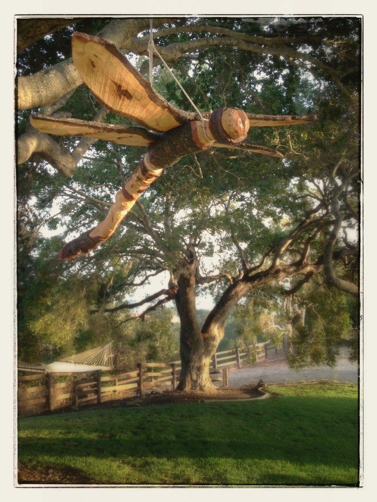 dragonfly