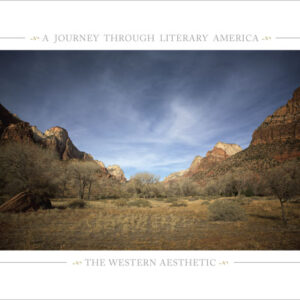 ~ THE WESTERN AESTHETIC ~